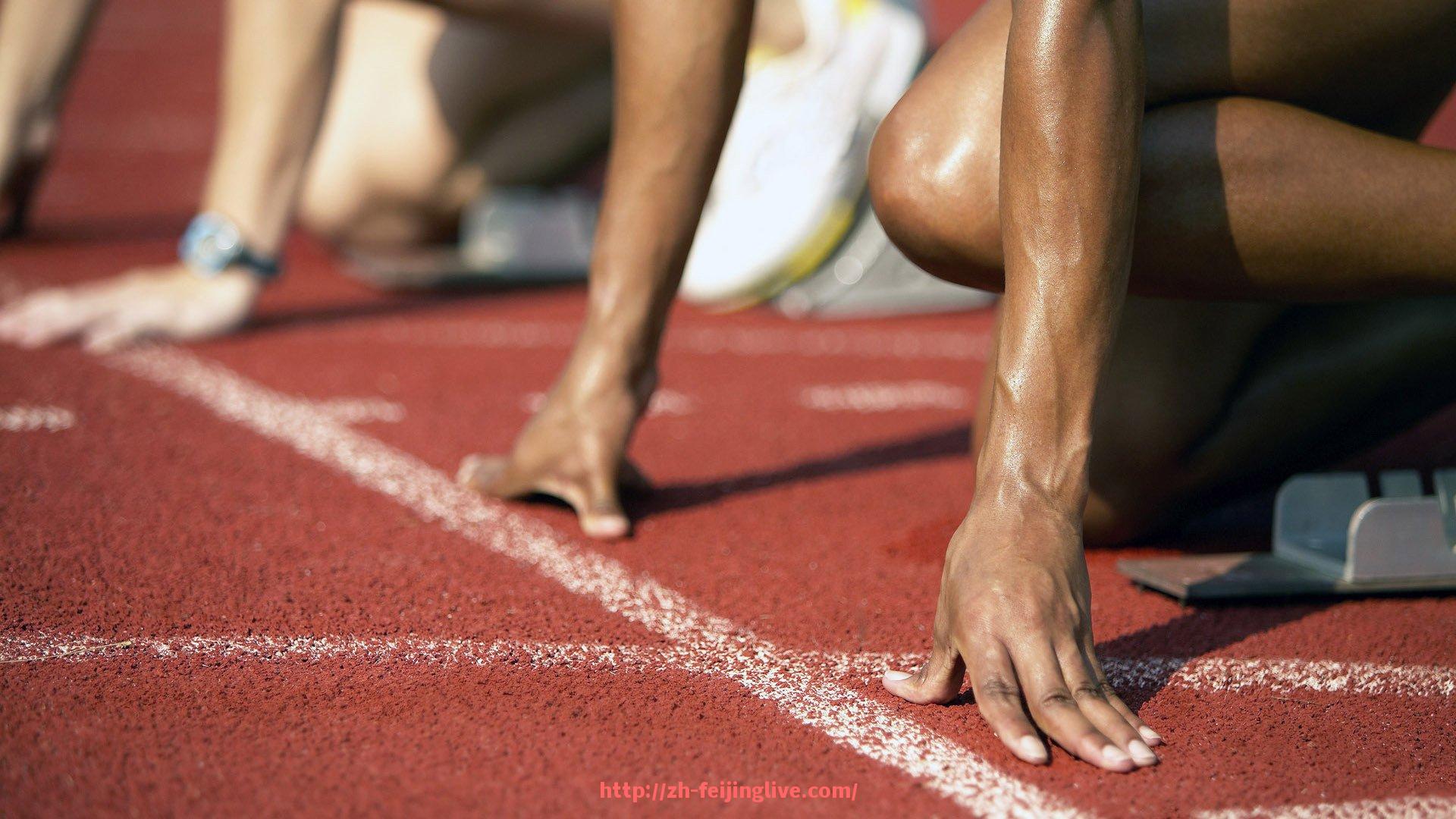 飞鲸体育直播-世俱杯赛事客户服务机制与服务满意度提升方案