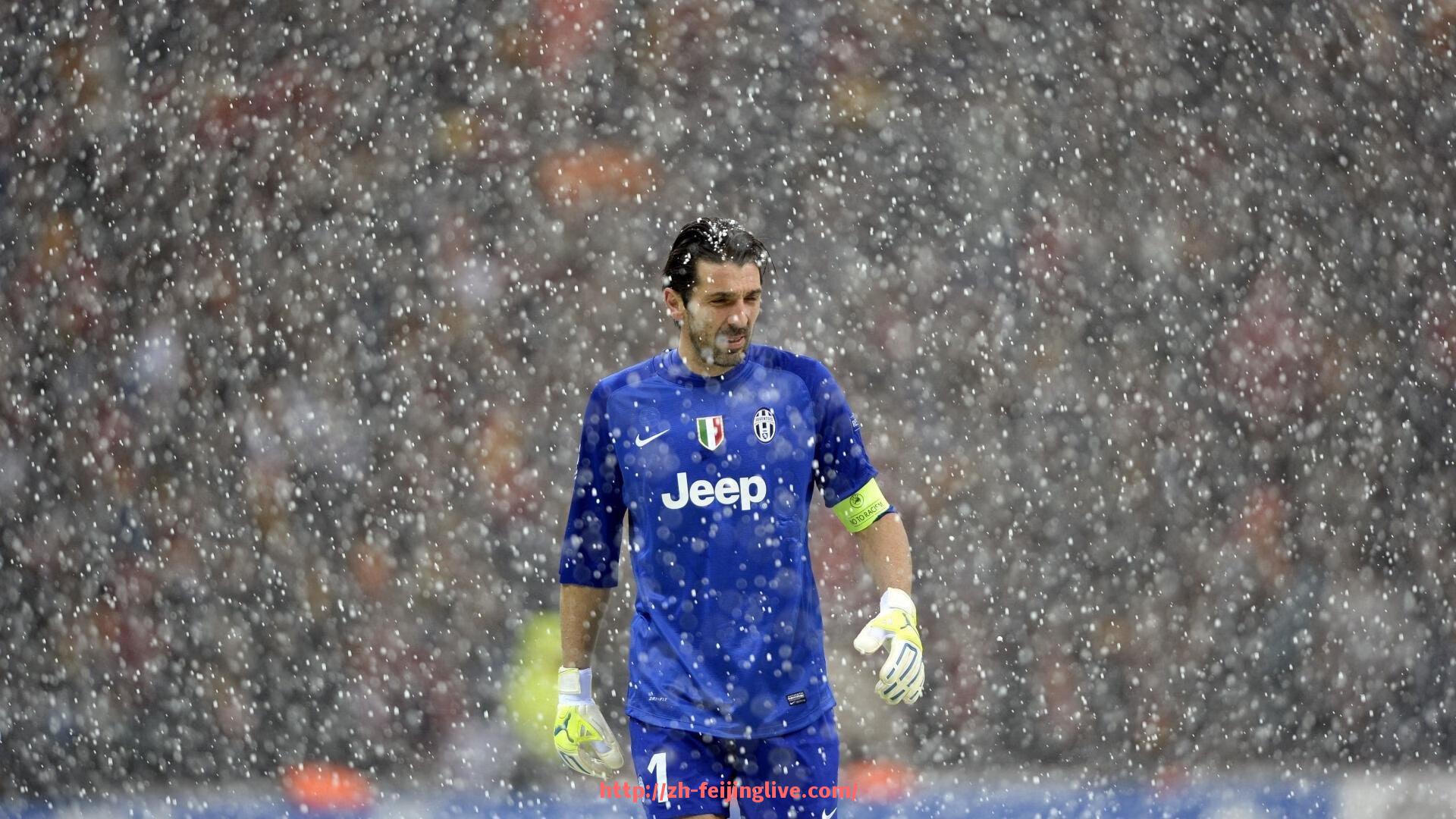 飞鲸体育直播-室内健身器材承重标准与安全使用指南